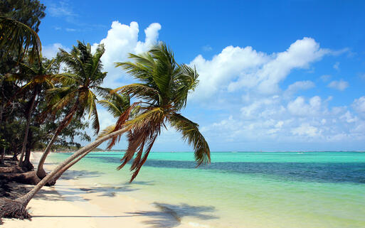 © R0macho / Shutterstock.com Traumhaft tropischer Strand mit türkisblauem Wasser in Playa Bavaro, Punta Cana, Dom. Rep © R0macho / Shutterstock.com