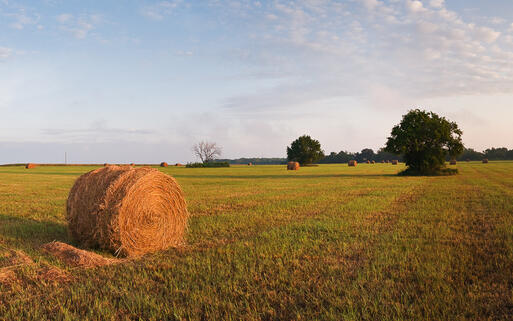Farmerfeld in Kansas © Michael Vorobiev / shutterstock.com