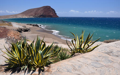 © Pawel Kazmierczak / Shutterstock.com Blick auf den Strand La Tejita auf Teneriffa © Pawel Kazmierczak / Shutterstock.com