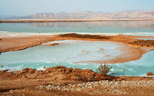 Die Küste Israels am Toten Meer © Ron Zmiri / Shutterstock.com
