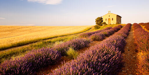 Kleine Kapelle im Lavendelfeld am Plateau de Valensole © PHB.cz (Richard Semik) / Shutterstock.com