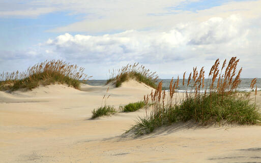 Sand Dünen in den Outer Banks © Steve Bower / shutterstock.com