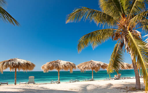 Karibisches Feeling am weißen Traumstrand unter Palmen und Strohschirmen © Aleksandar Todorovic / Shutterstock.com