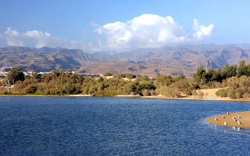 Blick auf die Dünen von Maspalomas © Anilah / Shutterstock.com