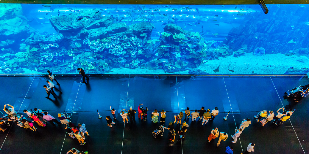 Das riesige Aquarium der Dubai Mall &copy; S-F / Shutterstock.com